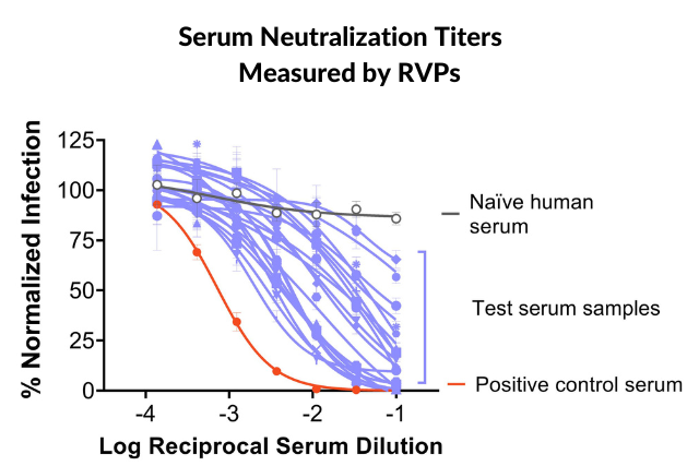 Serum Neutralization Titers Measured by RVPs