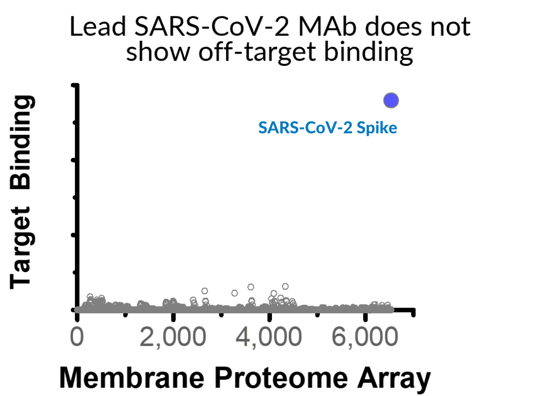 SARS-CoV-Spike (2)