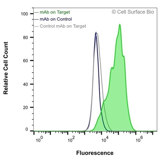 Two Graph of Flow cytometry assays on transiently transfected HEK-293F cells. Green shows MAb on target, Blue MAb on Control, and Gray the Control MAb on Target. They show the assays (and the MAb) are robust as the MAb does not detects intracellurlar epitopes if the cell membrane cannot be permeabilized.