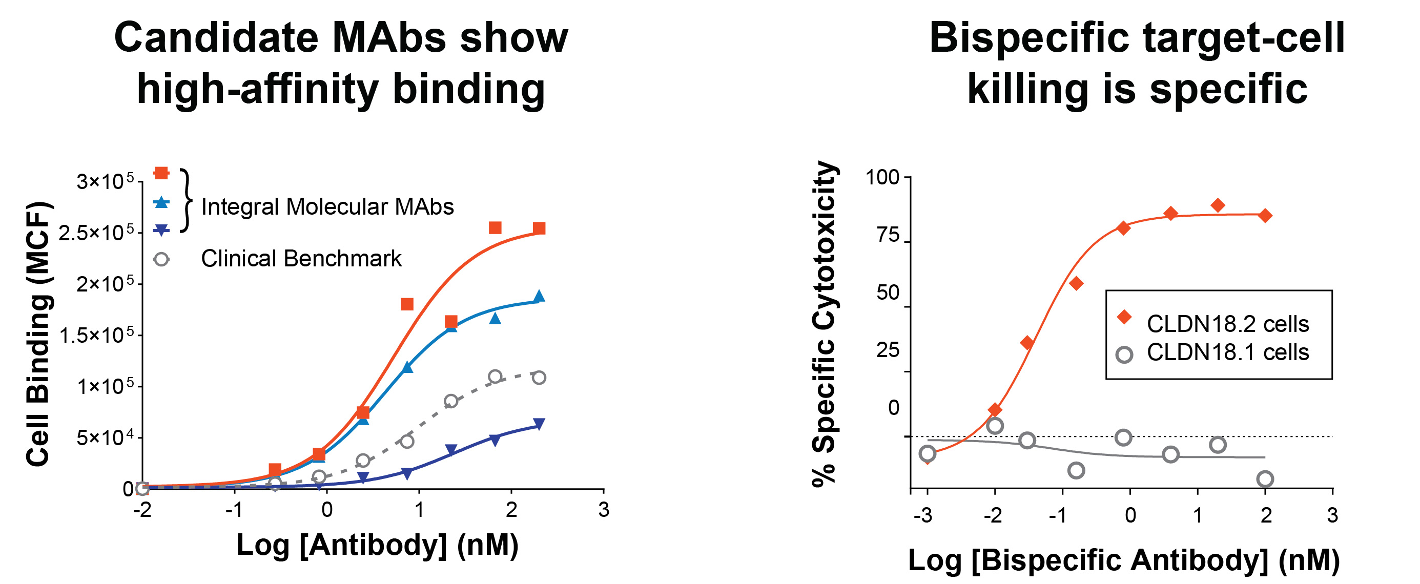Left graph titled “Candidate MAbs show high-affinity binding” plots antibody concentration against cell binding. It compares three Integral Molecular MAbs to a clinical benchmark. Right graph titled “Bispecific target-cell killing is specific to CLDN18.2” plots bispecific antibody concentration against percent specific cytotoxicity. It compares bispecific cytotoxicity against CLDN18.2 and CLDN18.1 cells.