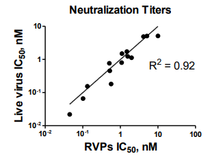 RVP Case Study